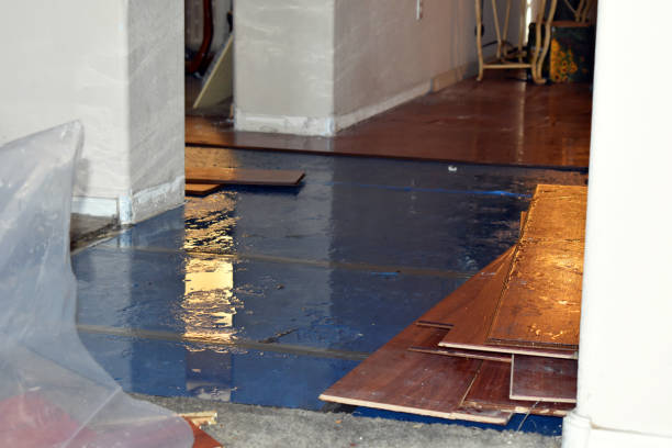 Professional Flood Cleanup technician working in Kipling, OH